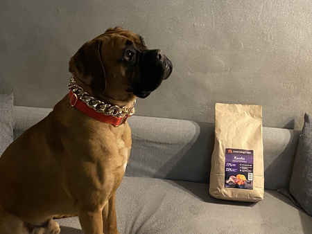 Karma Look4dog CARE kaczka i pomarańcza 2 kg