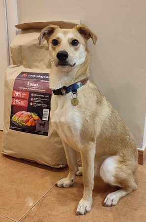 Sucha karma Look4dog CARE Łosoś z pstrągiem 12 kg