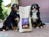 Karma Look4dog CARE dla psa z kaczką 12 kg, bez zbóż