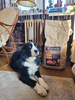 Sucha karma Look4dog CARE Indyk z żurawiną 2 kg