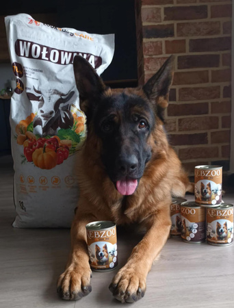 Karma mokra KEBZOO wołowina cielęcina dynia nasiona konopne kryl 400g