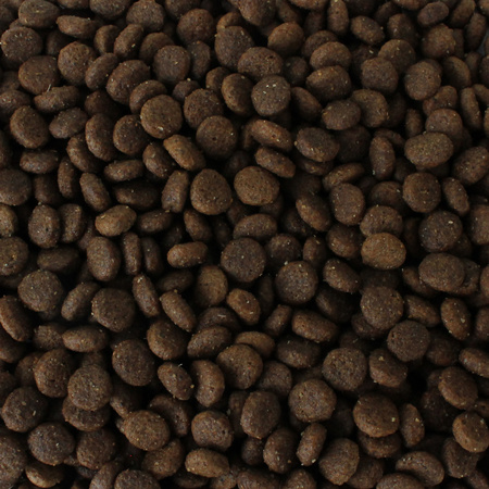 Zestaw sucha karma kaczka 2 kg + łosoś 2 kg